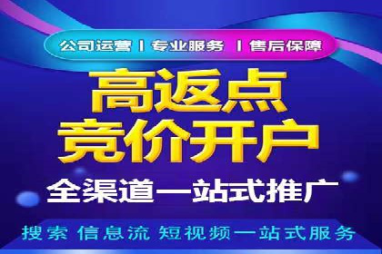 竞价推广策略：成功企业的案例分享